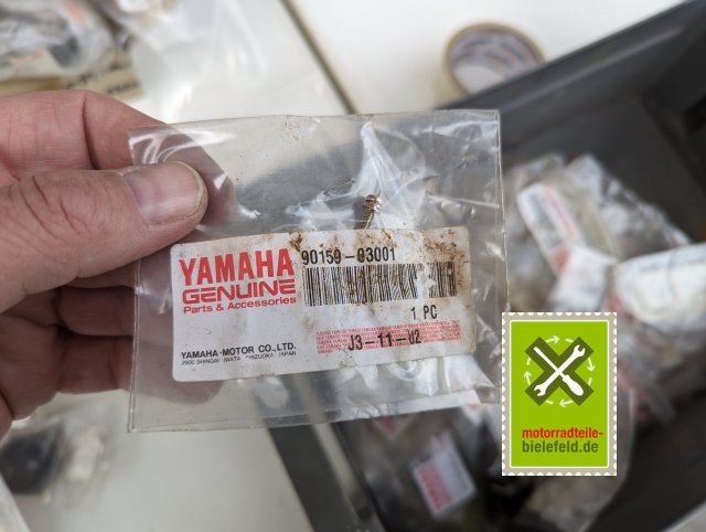 PXL_20240528_174034748